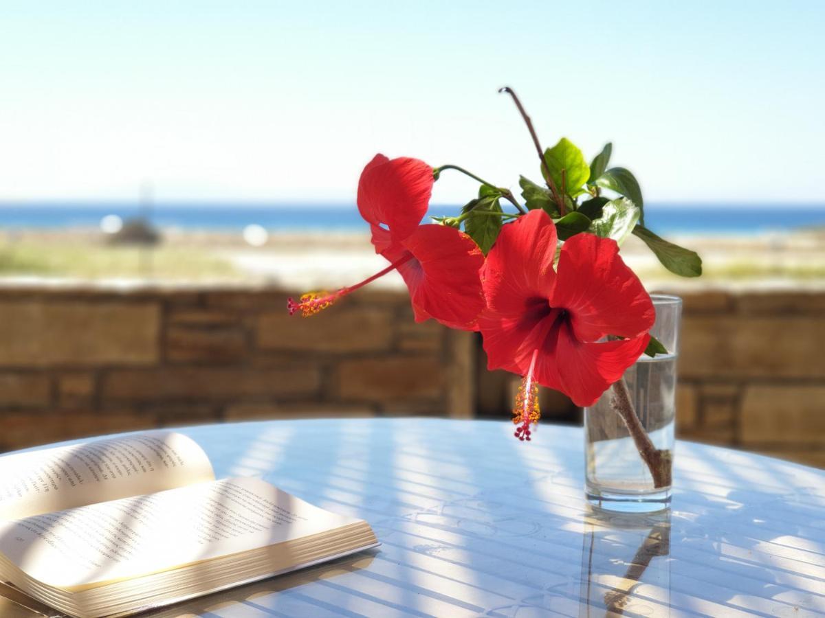 Kyma Apartments - Naxos Agios Prokopios Εξωτερικό φωτογραφία